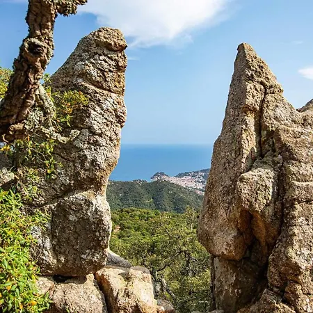 Codolar - Vistas Panoramicas, Terraza Y Parking Appartement Tossa de Mar